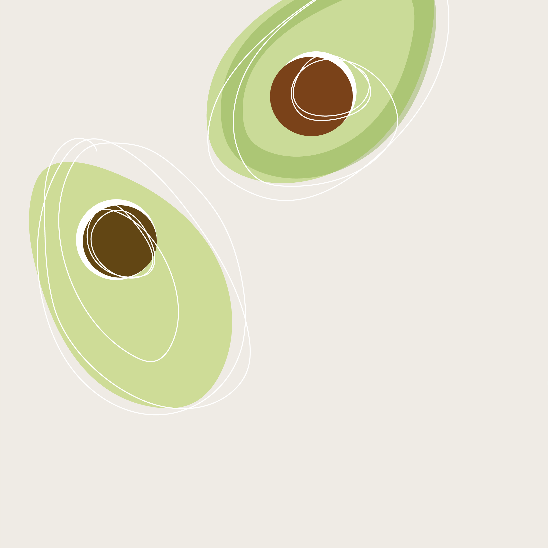 a contour illustration of avocados