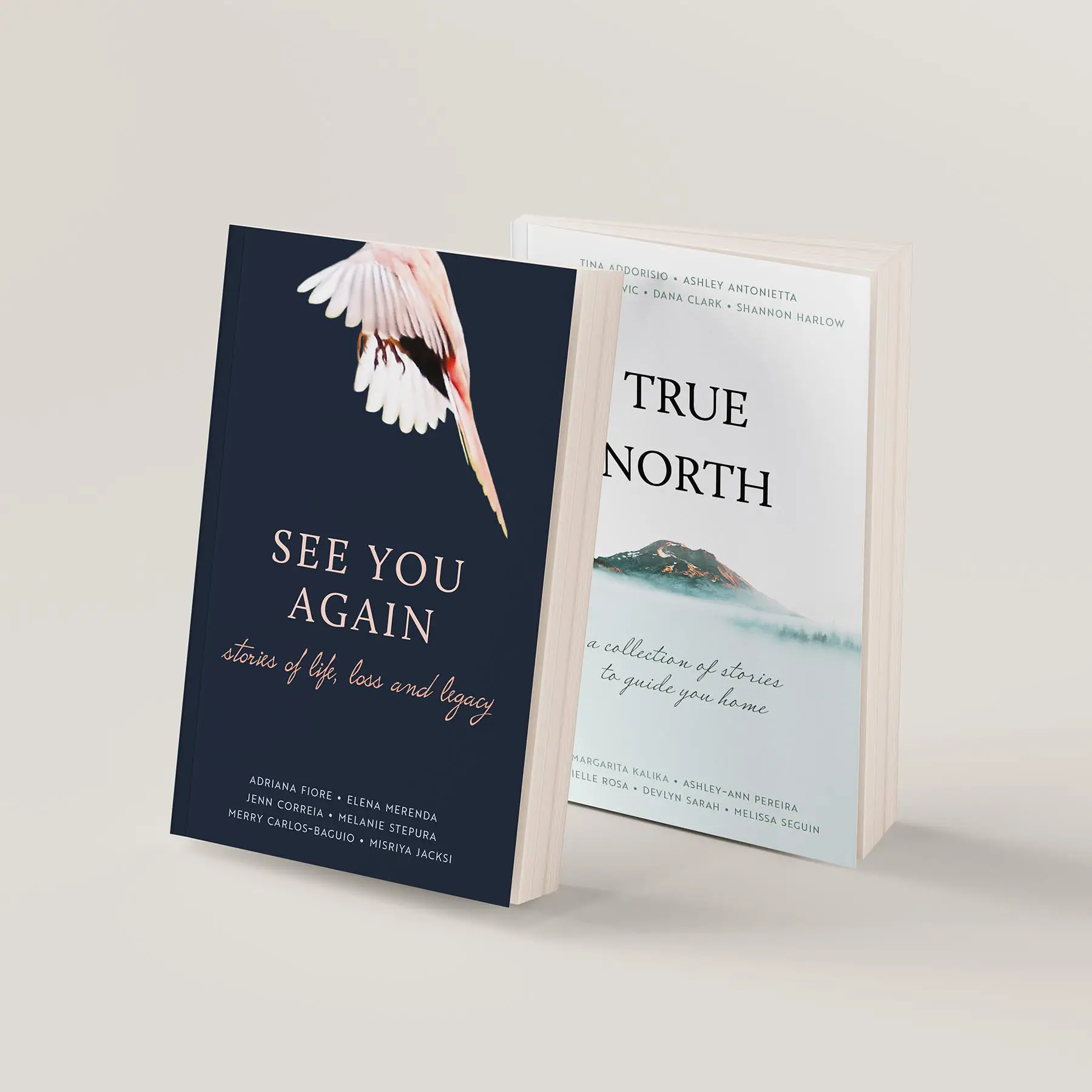 The book cover designs for The Collective Voices Series. One cover has a bird taking flight and the other features a mountain emerging from the fog. 