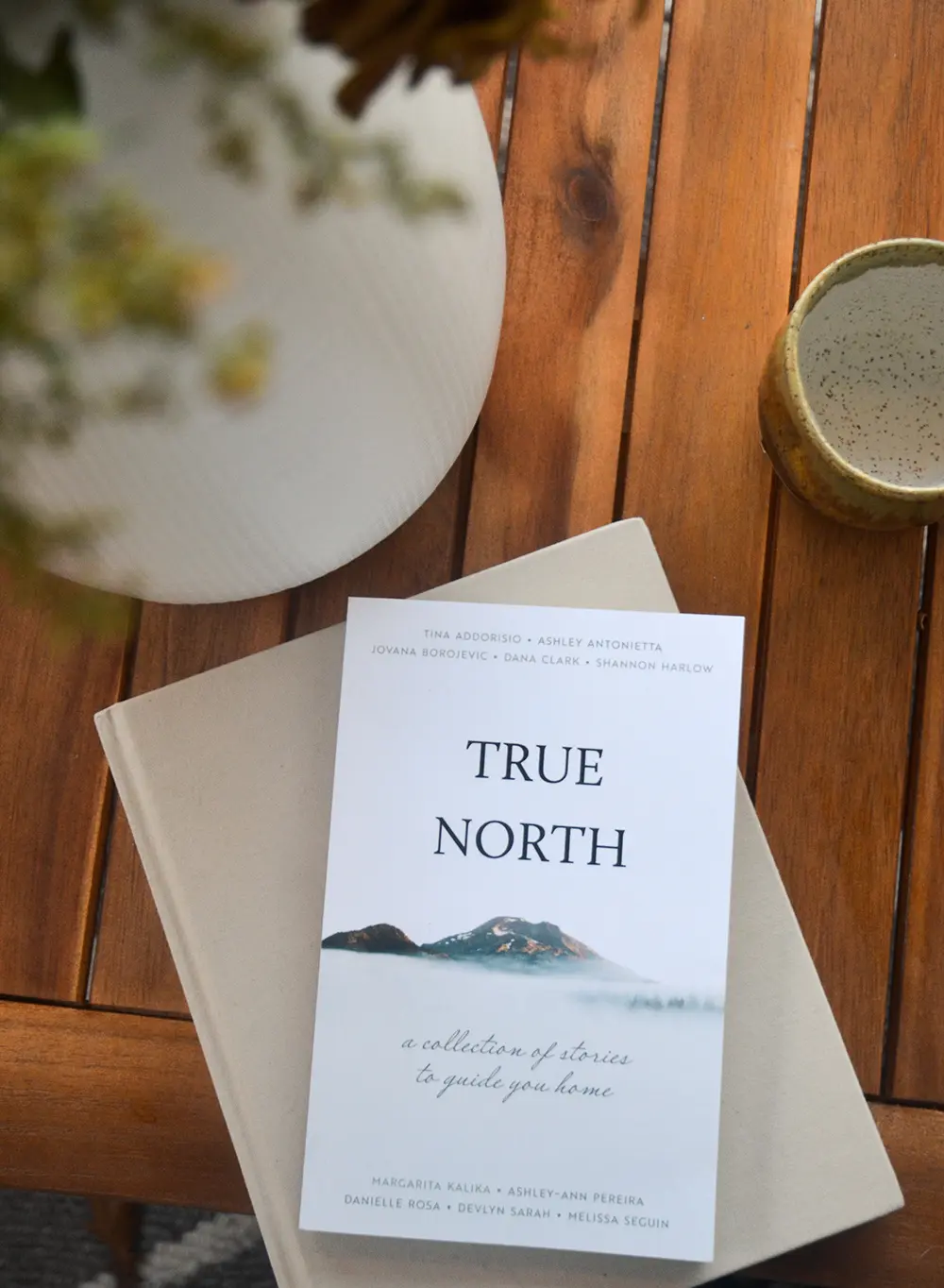 True North book cover design. Showing our work with using stock photography to our design advantage. The cover features a misty mountain top peaking through the dense clouds. 