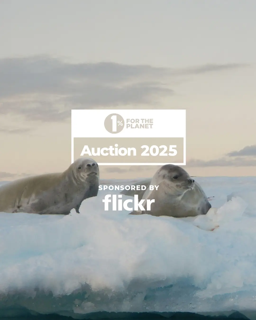25_FlickrToolkit_Seal-2 1% for the Planet 2025 Auction sponsored by Flickr