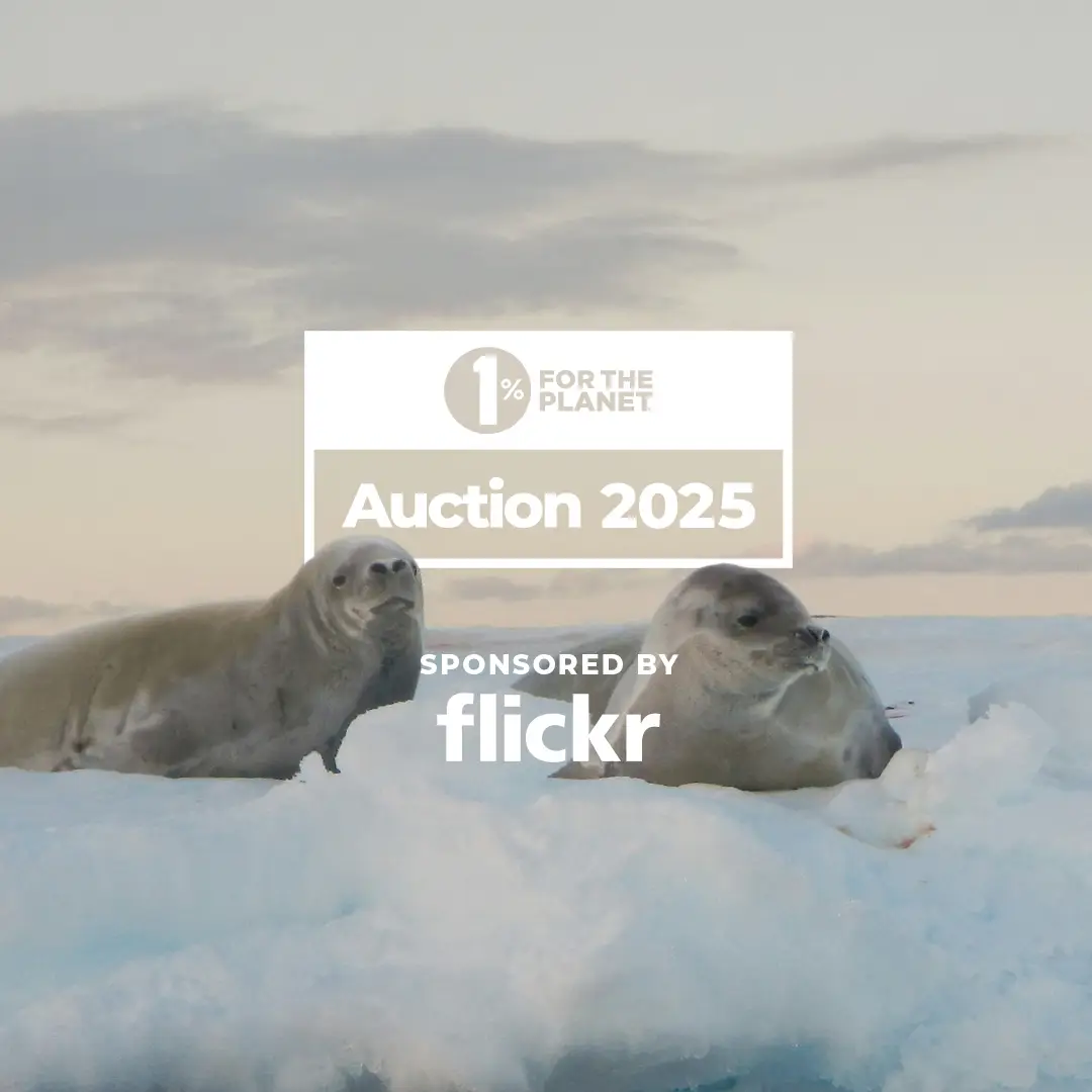 1% for the Planet 2025 Auction sponsored by Flickr