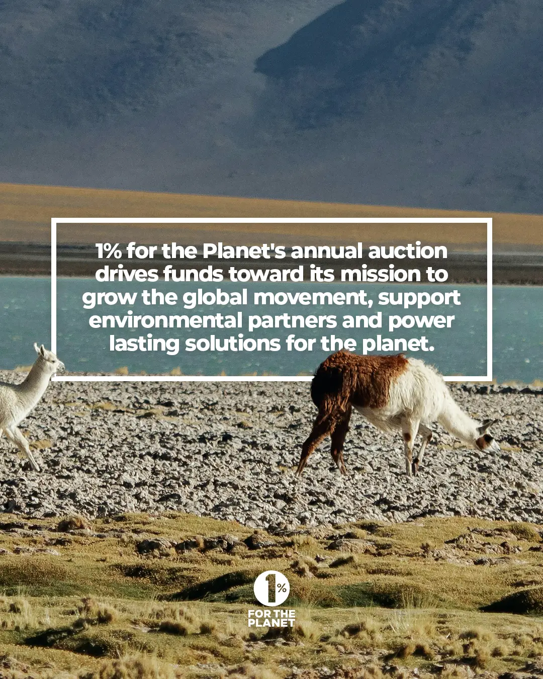 25_GlobalAuctionToolkit_Carousel01-copy_02 1% for the Planet 2025 Auction sponsored by Flickr